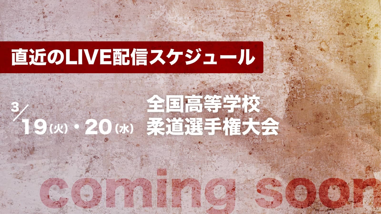 柔道グランドスラム東京2023