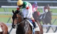 日本ダービー2着馬が膝を骨折
