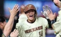 日ハムが接戦制す 奈良間適時二塁打