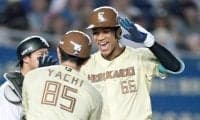 日本ハム 12球団断トツ110HR
