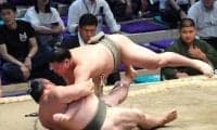 藤壮大が連勝 旭富士と対戦の可能性も