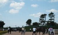 中山7R 史上2位3連単の配当に