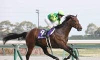 高松宮記念連覇サトノレーヴが電撃引退