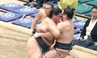 幕下8枚目の天昇山 全勝対決を制す