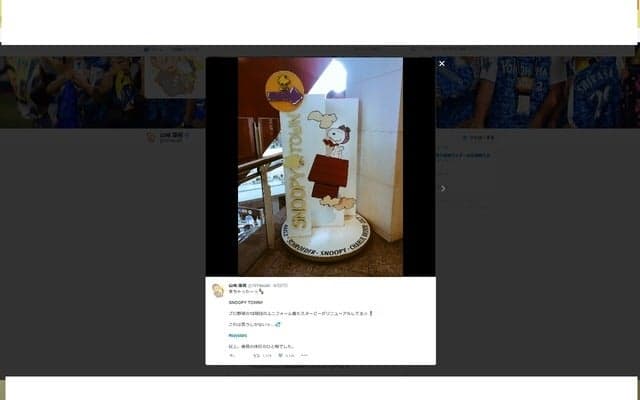 横浜DeNA・山崎康晃「来ちゃったーっ」…スヌーピータウンでお買い物