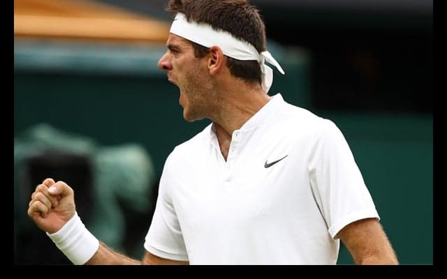  元世界4位のデル ポトロがワウリンカを倒して3回戦進出 [ウィンブルドン] 