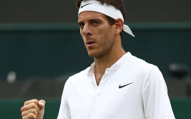 デルポトロがウィンブルドン3回戦進出、3度の手術から復活「テニスができて幸せ」