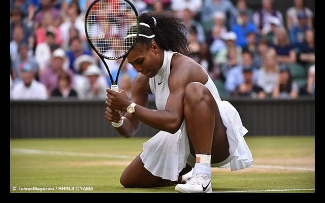  セレナとビーナスが揃って準々決勝進出 [ウィンブルドン] 