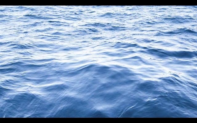 東京湾を泳いでみよう！「第1回 東京湾オ ...