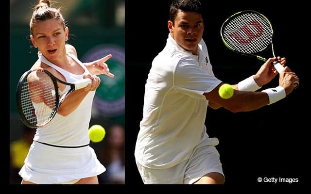  世界5位のハレプと7位のラオニッチがリオ五輪を辞退、ジカウイルスを理由に 