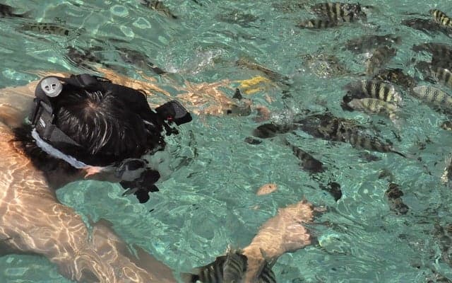 今年の夏休みはパプア・ニューギニアで決まり！！ワーイε=ヾ(*・∀・)/