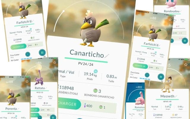 【山口和幸の茶輪記】ツール・ド・フランスのスター、カモネギを捕まえに来日？