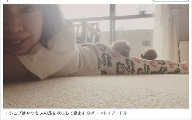 木村沙織の脚を枕にする愛犬…ファン「贅沢な枕やなぁ」