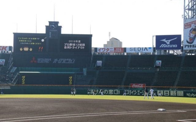 2016年度 プロ野球12球団合同トライアウト シート打撃主な結果(第1組目)