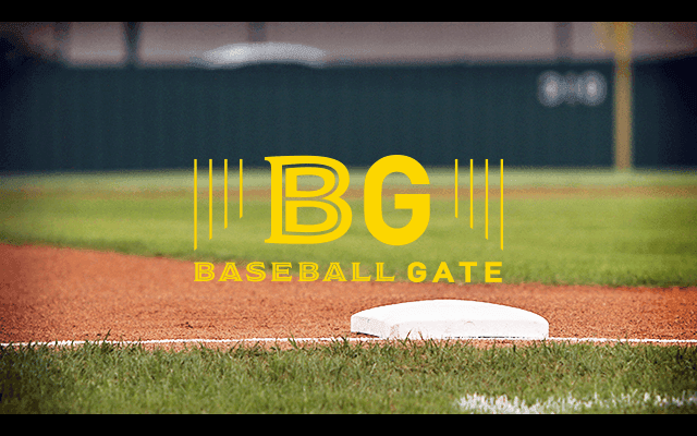 2016年度 プロ野球12球団合同トライアウト シート打撃主な結果(第20組目)