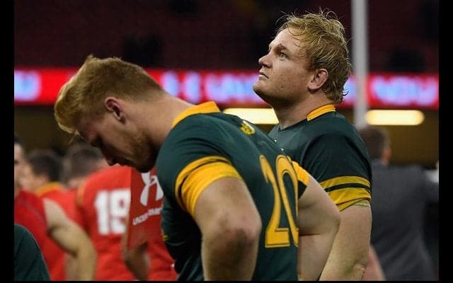  泥沼を抜け出せなかった南ア…　欧州遠征は0勝、年間勝率33％の屈辱 