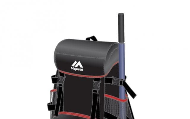 観客動員の低迷が契機に　西武がファンクラブ企画に託す思いとは