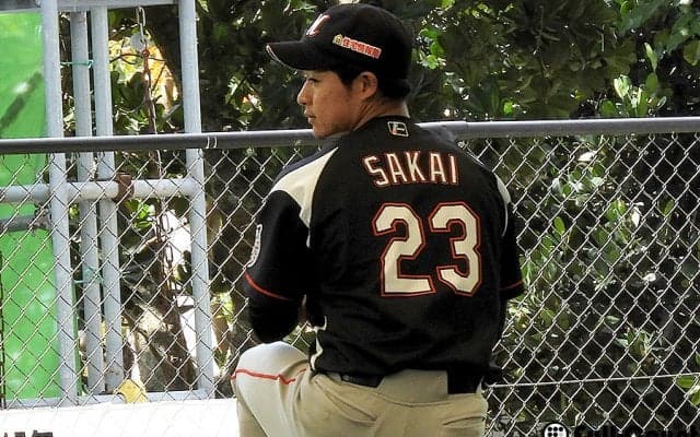 ロッテドラ2右腕を伊東監督がベタ褒め「力強く、楽しみなボールを投げる」