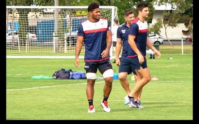  マフィ、レベルズデビューへ！　「仕事やらなあかんですね」 