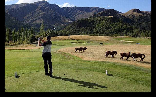 元プロ野球選手・桑田真澄氏も出場「ISPS HANDA NEAZEALAND OPEN」にJGTOメンバー25名が参戦