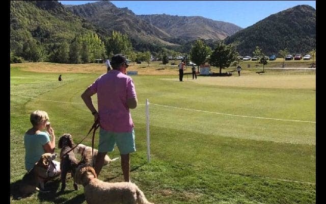 「エンターテイメントと競技のバランス」NZオープンで見たゴルフ人気につながるプロアマ方式の可能性