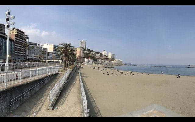 【山口和幸の茶輪記】モナコはやっぱり“熱海”に似ている