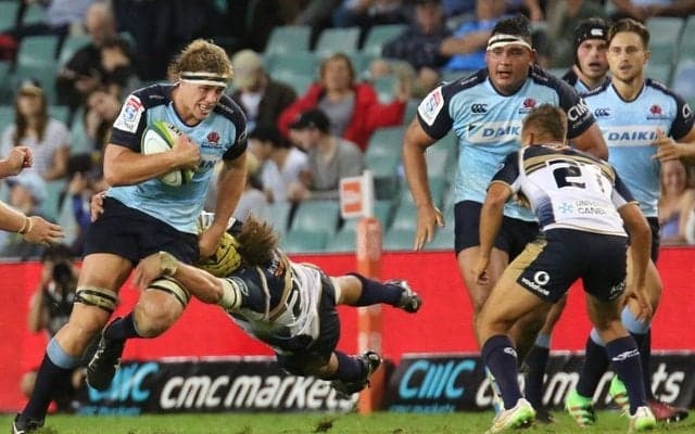 ラグビーフェスティバル「秩父宮みなとラグビーまつり」開催…ワラターズ来日