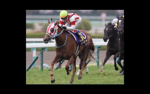 老舗牧場の歴史を紡ぐレーヌミノル。オークスで「新たな伝説」となるか