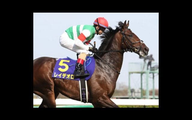 藤沢師の悲願達成へ。ダービーに的を絞ったレイデオロは好材料だらけ
