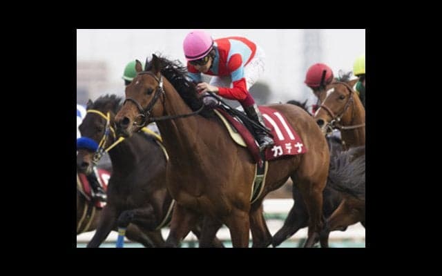 ダービーで狙える穴馬は「皐月賞組２頭＋トライアル組１頭」で決まり！