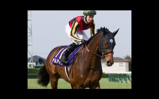 大西直宏が読むダービー。サニーブライアンに似たアルアインが侮れない