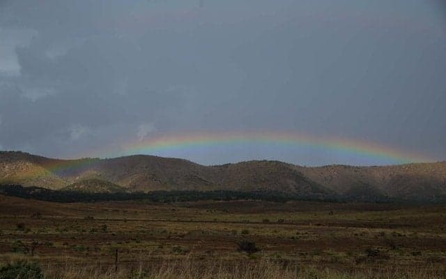 オーストラリアの古代文化を探す旅のスタート