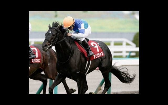 難解な安田記念。アンビシャス、ステファノス「悲願の初ＧＩ」あるぞ