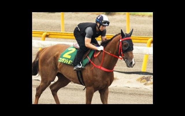 鞍上モレイラ＆強気クルーズ師。安田記念の香港馬２頭は信じてOKか