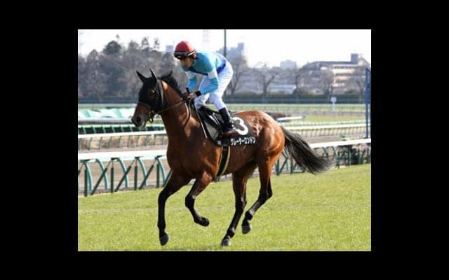 安田記念は難病を克服した驚異の生命力、グレーターロンドンに注目