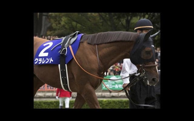 安田記念は「東京マイル番長と不人気６歳」の穴馬４頭でもらった！