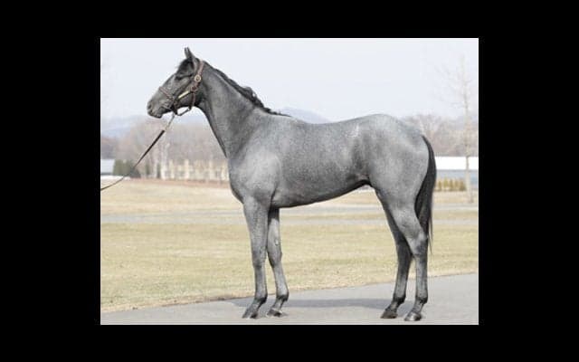 すでに高い完成度を示すシエラネバダ。それでも「まだまだよくなる」