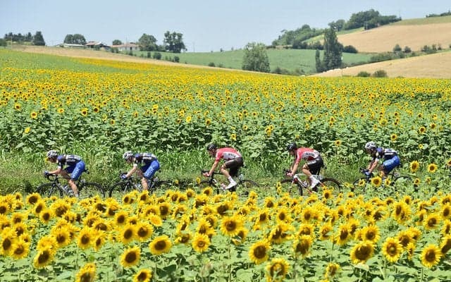 【山口和幸の茶輪記】564万フォロワー、1億2000万ページビュー！…数字で読むツール・ド・フランス2017