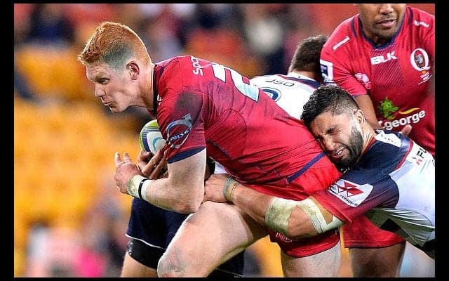  サントリーに20歳の大型BK加入！　オーストラリア・レッズから 