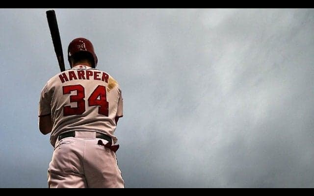 メイプル素材の硬式木製バット「ブライス・ハーパーモデル」発売…ローリングス