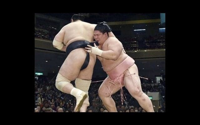 アクロバット相撲の宇良は、実は４歳から押し相撲を磨く正統派だった