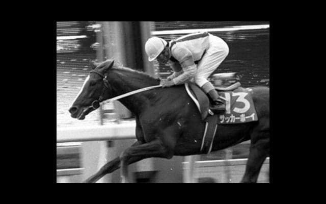 記憶に残る名馬──。函館記念といえば思い出す、サッカーボーイ