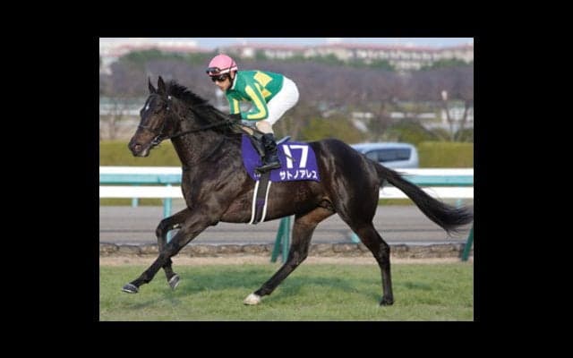 函館記念は、洋芝巧者キンカメ産駒を馬券のスパイスにボーナス倍増！