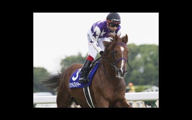 荒れまくる中京記念。３人の穴党記者が「ボーナス補填」のお手伝い