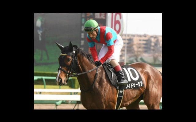 真夏の電撃戦アイビスSD。血統的視点から勝ち馬がクッキリ浮かんだ