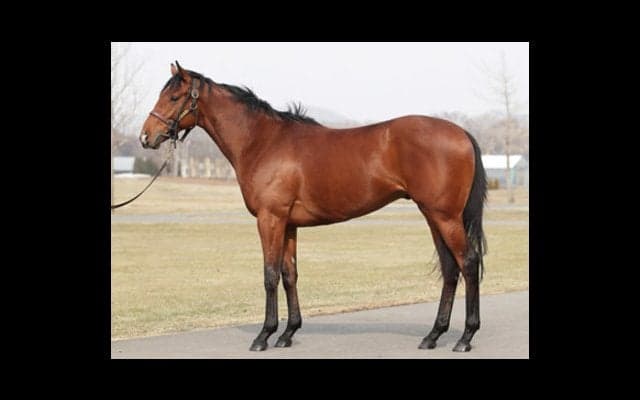 日本が誇る「女傑」の孫、リシュブールは「いいバネを持っている」