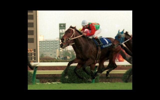 小倉記念で思い出す、「善戦マン」ナイスネイチャが輝いていたあの夏