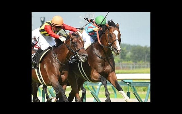ローカルハンデ重賞は宝の山！小倉記念はコース適性重視で高配当ゲット