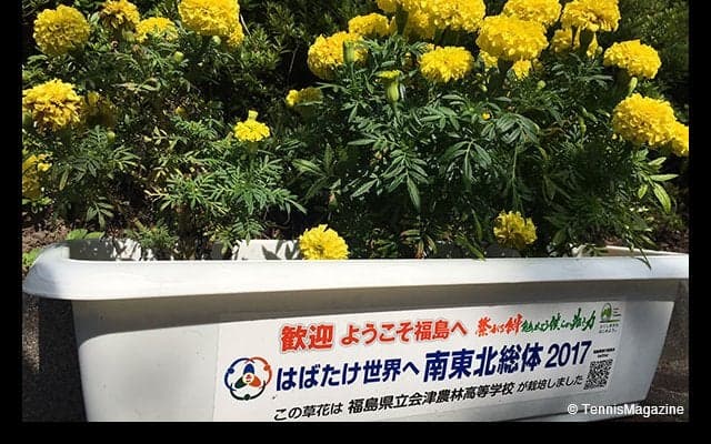 大会2日目、女子団体3回戦、準々決勝結果 [南東北インターハイ]