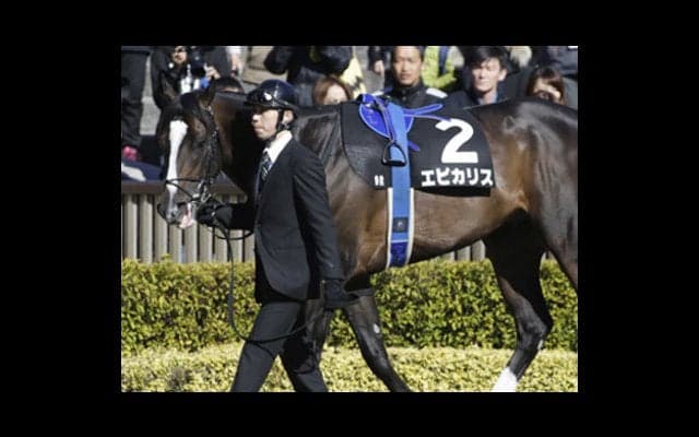 穴党記者が吟味。レパードＳはこの３頭に「打倒エピカリス」を託す